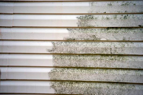 Siding Removal and Disposal in Beacon Hill, WA